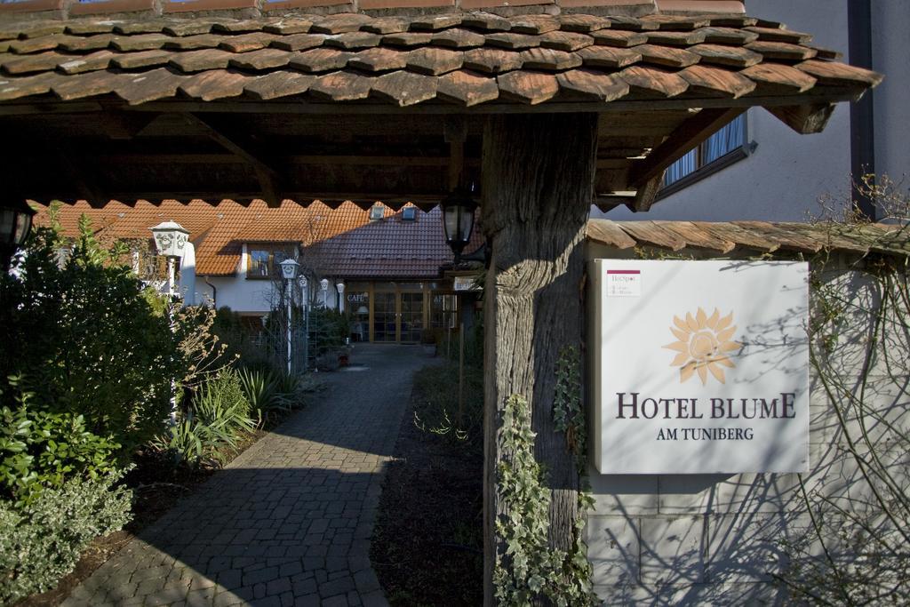 Hotel Blume Freiburg im Breisgau Eksteriør billede